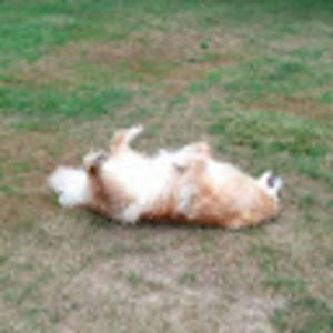 Meet your Posher, Denise